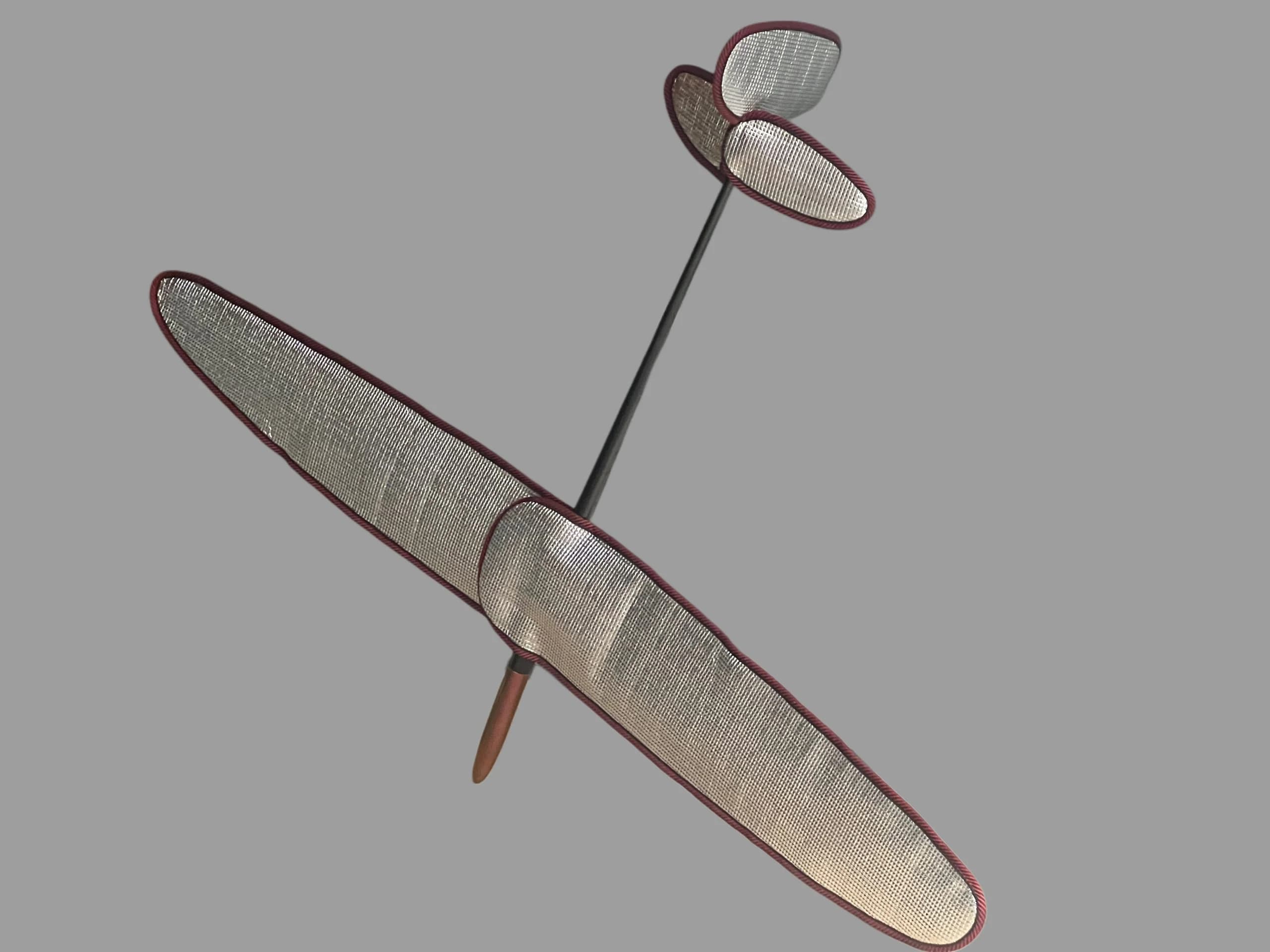 D1S glider fitted with silver protective wing and tail covers