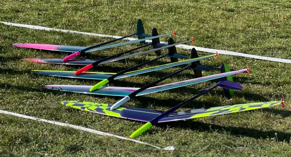 D1S gliders lined up on the grass at the flying field