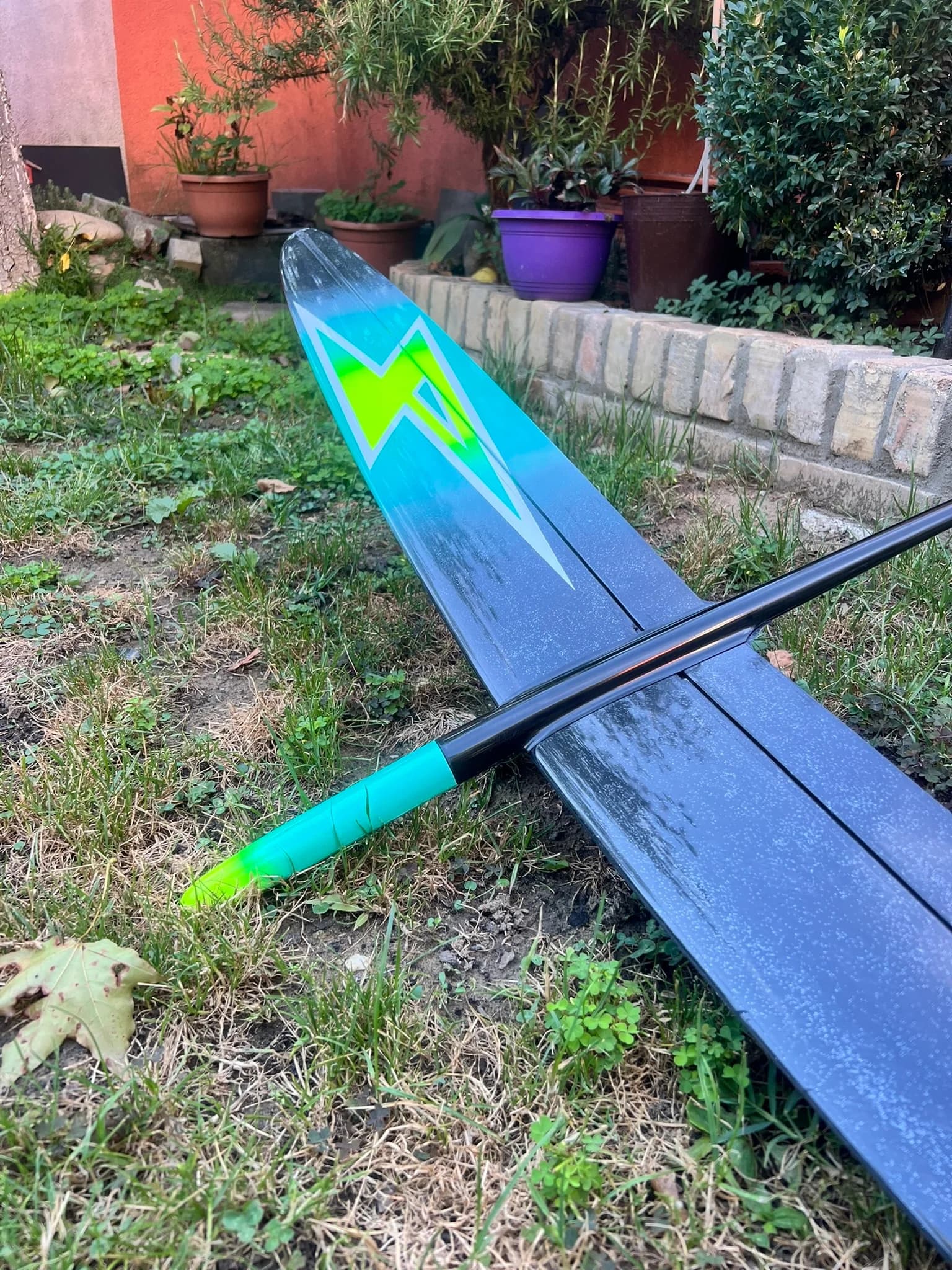 Blue D1S wing with bright yellow markings and a black fuselage