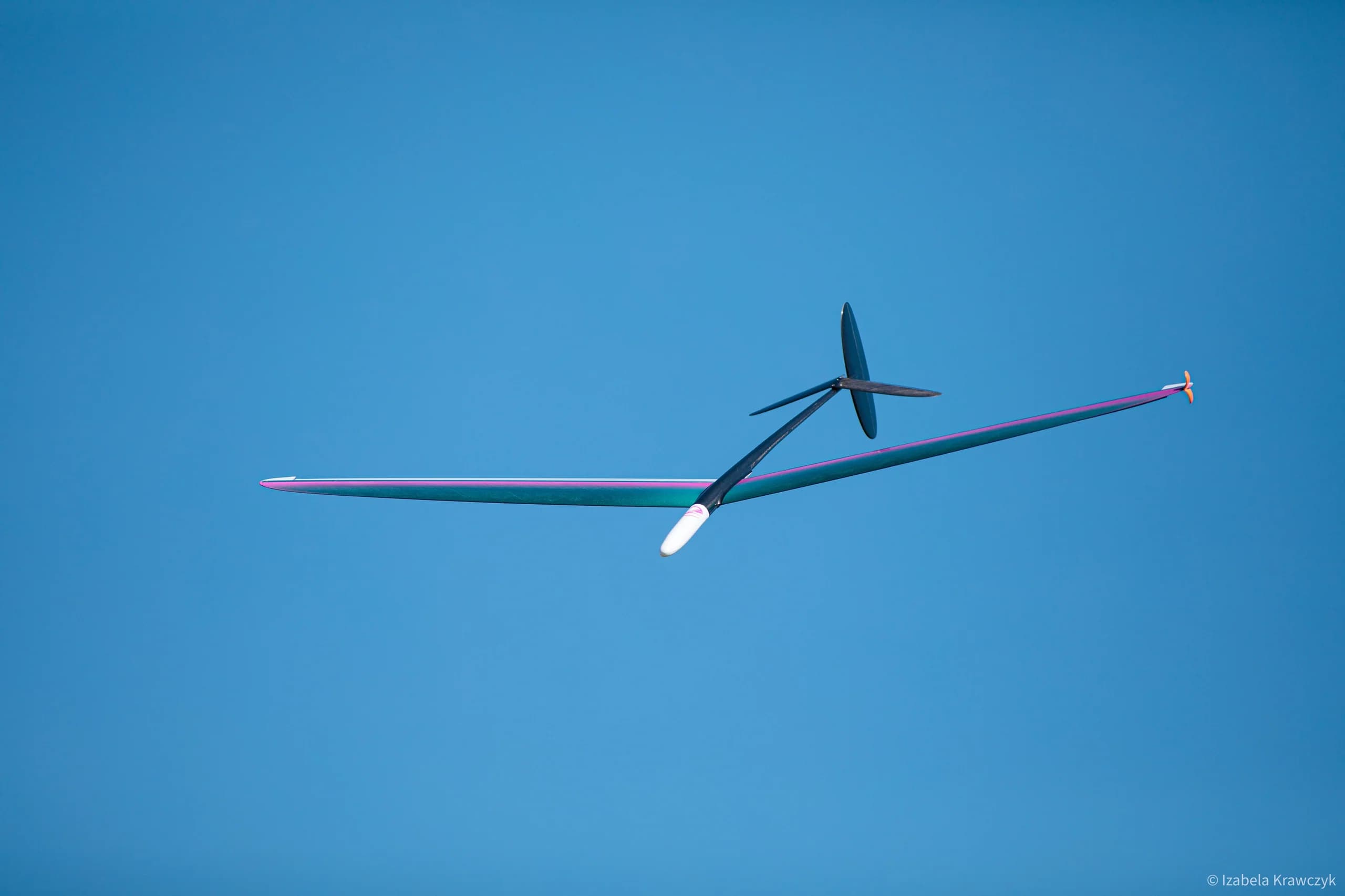 D1S glider in flight against a clear blue sky
