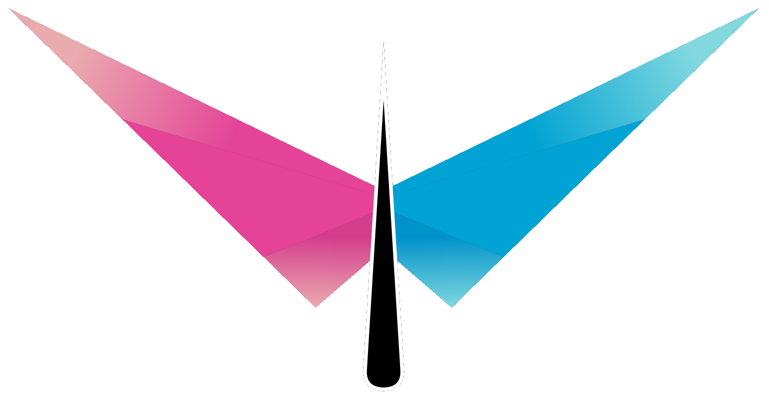 FlyPeak