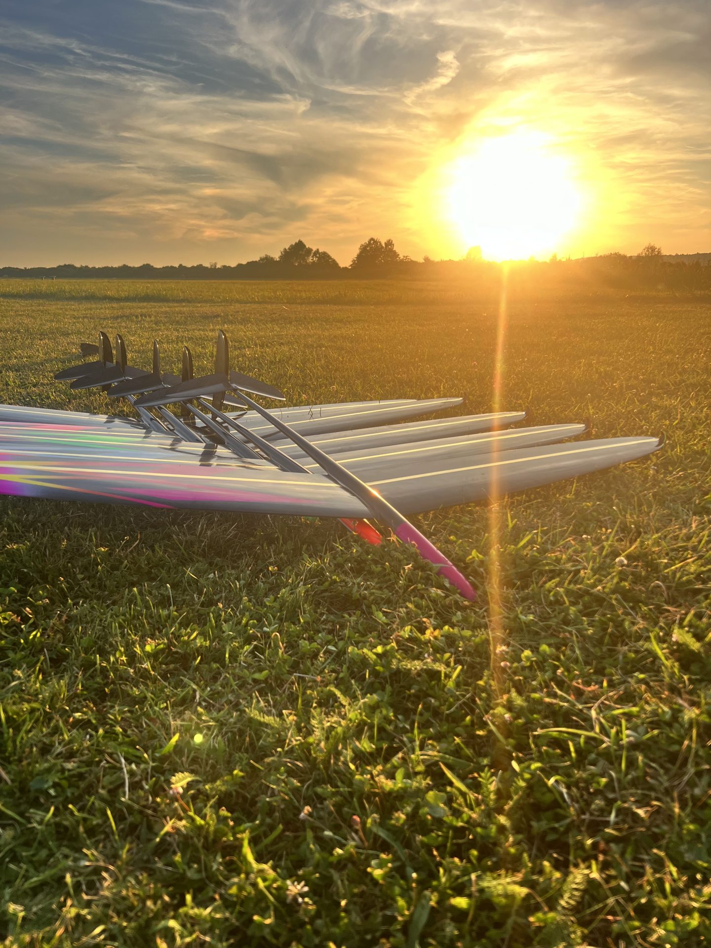 D1S DLG glider - Competition Set