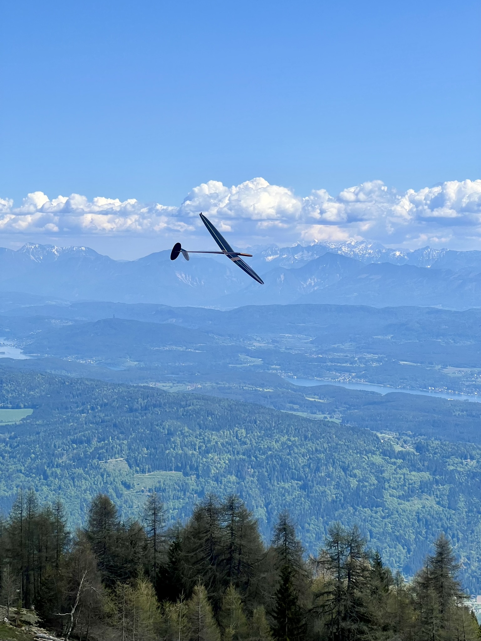 D1S DLG glider in flight
