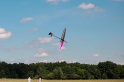 D1S DLG glider in flight