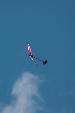 D1S DLG glider in flight