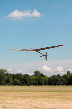 D1S DLG - F3K glider