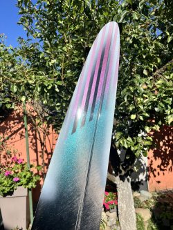 D1S DLG wing design