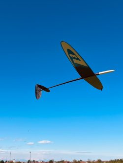 D1S DLG glider in flight