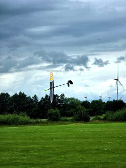D1S DLG glider in flight